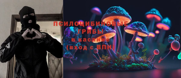 PSILOCYBIN Армянск